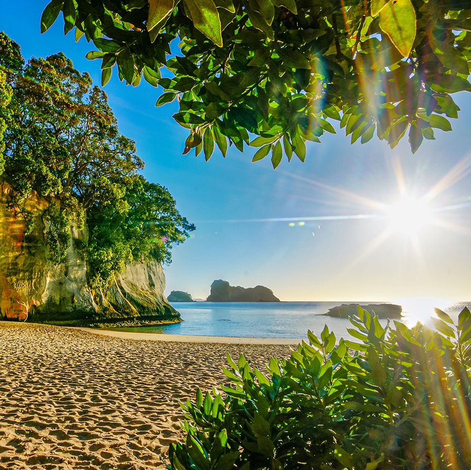 New Zealand Jobs for Doctors & Medical Professionals Junior Doctor